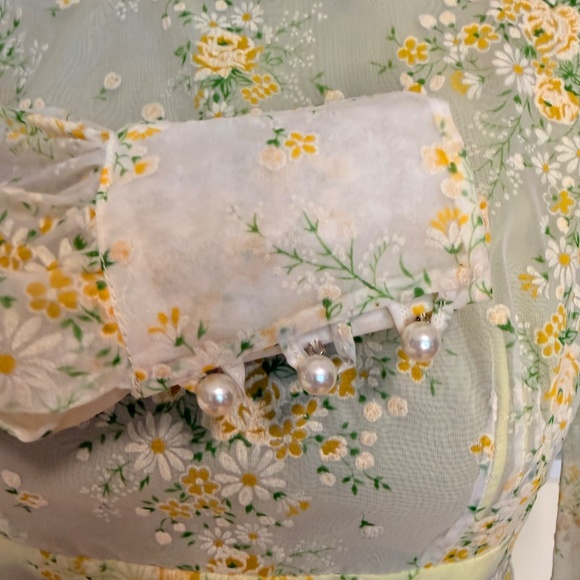 Vintage 60s Sheer Floral Maxi Dress 🌼: - Picture 9 of 10